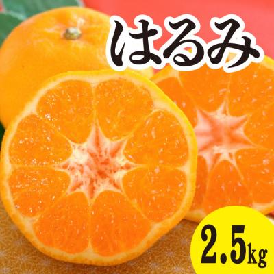 ふるさと納税 三原市 [先行受付]甘くてジューシー!瀬戸内のはるみ 約2.5kg[017-043]