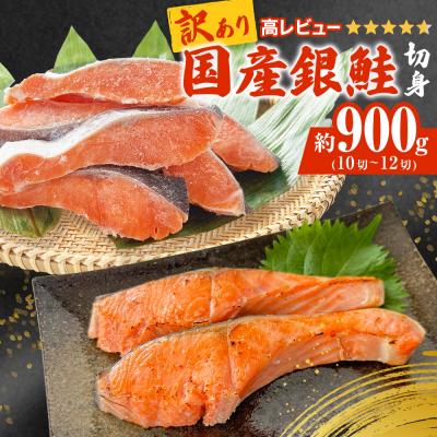 ふるさと納税 石巻市 [訳あり] 産地直送! 国産銀鮭 定塩切身 0.9kg 冷凍 鮭 切り身 石巻市