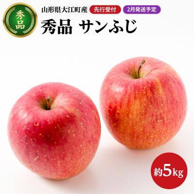 ふるさと納税 大江町 [先行受付][2027年2月発送予定] サンふじ約5kg・秀品 大江町産 028-030