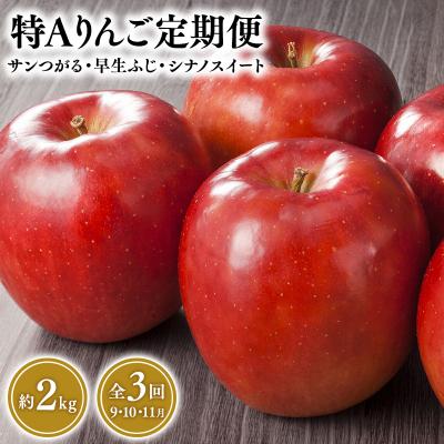 ふるさと納税 平川市 [定期便3回 9月発送開始]特Aりんご サンつがる・早生ふじ・シナノスイート(各約2kg)[平川市]