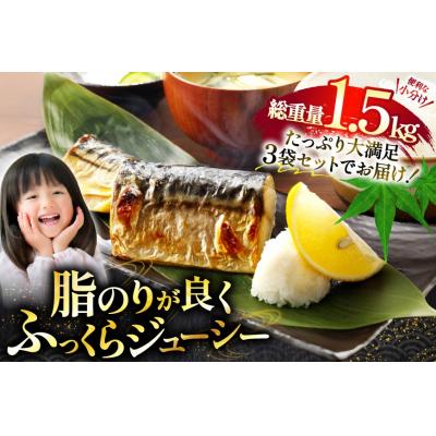 ふるさと納税 気仙沼市 訳あり 骨取り さば 切身 計1.5kg (500g×3p) 小分け 無塩 [20565640] 鯖 |  | 01