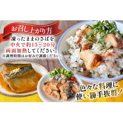 ふるさと納税 気仙沼市 訳あり 骨取り さば 切身 計1.5kg (500g×3p) 小分け 無塩 [20565640] 鯖 |  | 03