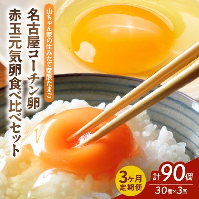 ふるさと納税 小牧市 [3ヶ月定期便]「生みたて葉酸たまご」名古屋コーチン卵・赤玉元気卵 30個×3回[132Y09-T]