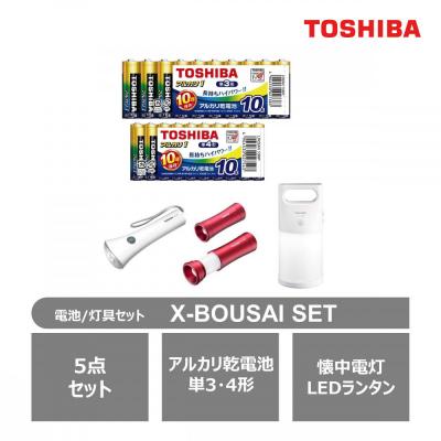 ふるさと納税 川崎市 東芝 防災グッズ X-BOUSAI SET