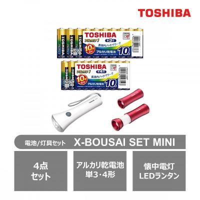 ふるさと納税 川崎市 東芝 防災グッズ X-BOUSAI SET MINI