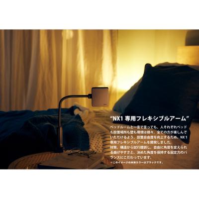 ふるさと納税 川崎市 ベッドルームプロジェクターNX1 シルバー : Yahoo