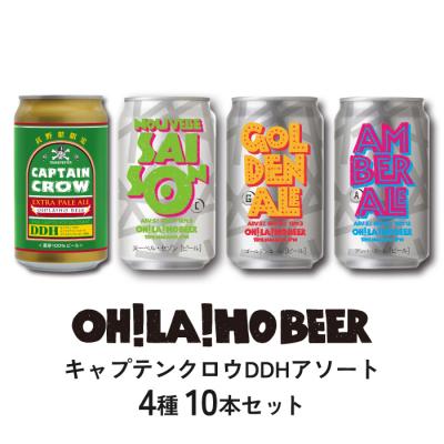 ふるさと納税 東御市 [オラホビール]キャプテンクロウDDHアソート10本セット