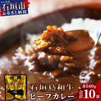 ふるさと納税 石垣市 石垣島和牛ビーフカレー 160g×10袋[合計1.6kg]お土産にも大人気のご当地カレー[レトルトで