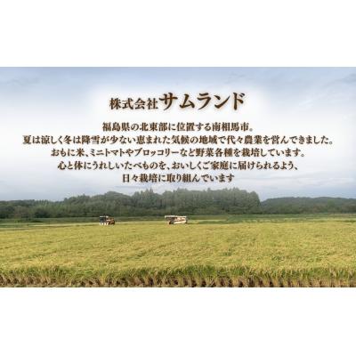 ふるさと納税 南相馬市 [先行予約]令和7年産 新米 コシヒカリ 白米 5kg サムランド [149448-001-01]