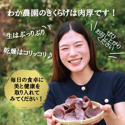 ふるさと納税 薩摩川内市 ＼”訳アリ”/鹿児島県産天日干し乾燥きくらげ 合計200g 国産 木耳 AS-0145_1