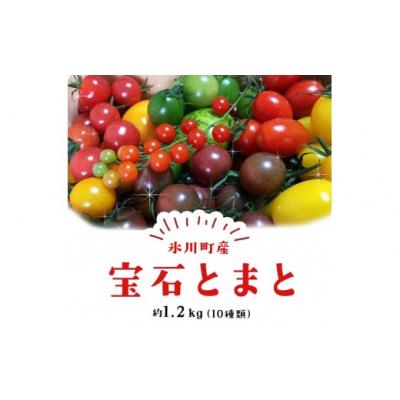 ふるさと納税 氷川町 [先行予約]「ミヤザキファーム」 宝石とまと 1.2kg 熊本県氷川町産