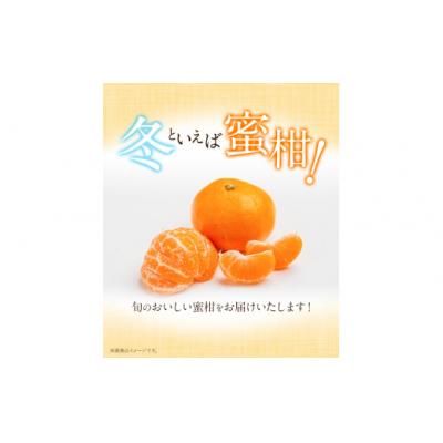 ふるさと納税 氷川町 [先行予約]山本果樹園の旬のみかん 5kg 山本果樹園[9月中旬-2月末頃出荷]