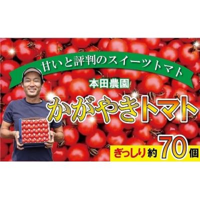 ふるさと納税 小松市 [2026年 先行予約]かがやきトマト 2箱(約70個) スイーツトマト 本田農園