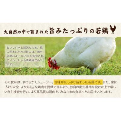 ふるさと納税 氷川町 熊本県産 若鶏むね肉 約2kg×2袋/もも肉 約2kg×1袋 計3袋[30日以内に出荷予定(土日)]