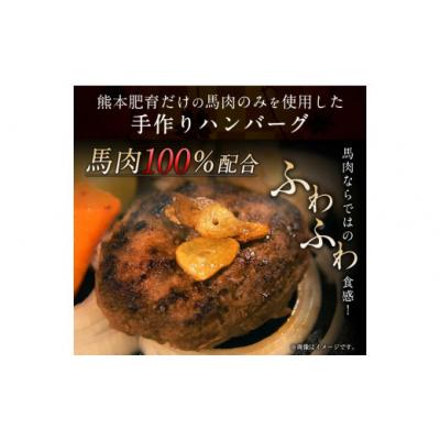 ふるさと納税 氷川町 手作りハン馬ーグ 100g×10個 馬肉100%配合![熊本肥育]