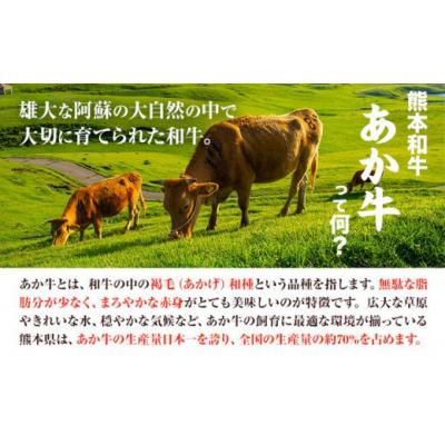 ふるさと納税 氷川町 あか牛 100%ハンバーグ 120g×6個 あか牛のたれ付き 熊本県産 あか牛 あかうし 道の駅竜北