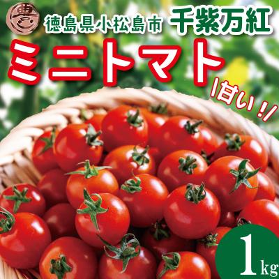 ふるさと納税 小松島市 [2026年5月発送] ミニトマト 千紫万紅 1kg プチトマト