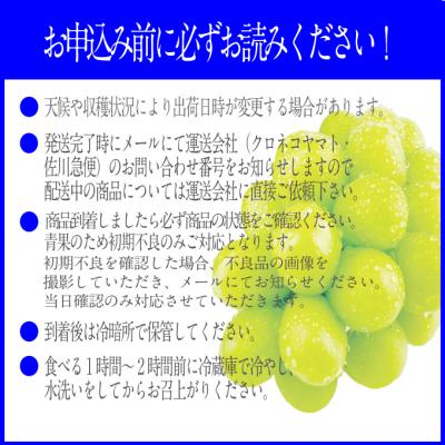 ふるさと納税 瀬戸内市 プレミアムシャインマスカット晴王 1房(約750g)赤秀品 岡山県産  [No.5735-2137]の画像