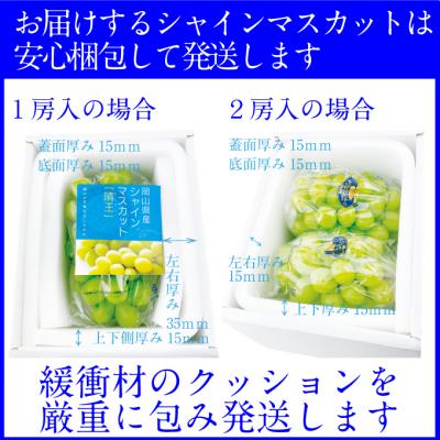 ふるさと納税 瀬戸内市 プレミアムシャインマスカット晴王 1房(約750g)赤秀品 岡山県産  [No.5735-2137]の画像
