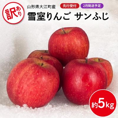 ふるさと納税 大江町 [先行受付][2027年2月発送予定] 訳あり 雪室りんごサンふじ 約5kg 028-029