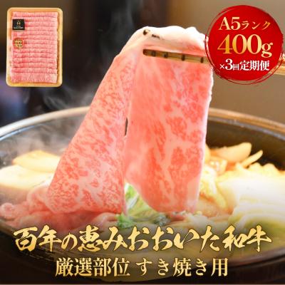 ふるさと納税 玖珠町 「百年の恵み おおいた和牛 」すき焼き用 400g × 3ヶ月 定期便 おおいた和牛 黒毛和牛