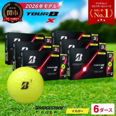 ふるさと納税 関市 6ダース TOUR B X イエロー【2026年モデル