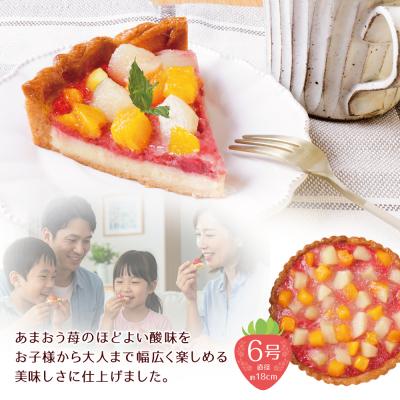 ふるさと納税 福智町 寄附額改定↓↓ あまおうの苺タルトケーキ6号(約18cm)4〜6人分_1