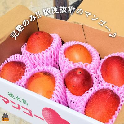 ふるさと納税 徳之島町 ≪今が旬!≫訳あり!【家庭用】徳之島産完熟