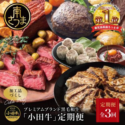 ふるさと納税 南さつま市 [全3回]プレミアムブランド「小田牛」定期便[加工品づくし]