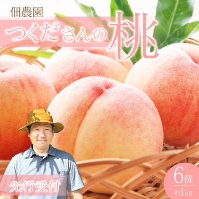 ふるさと納税 三原市 [先行受付]つくださんの桃 6個 約1kg [210-001]