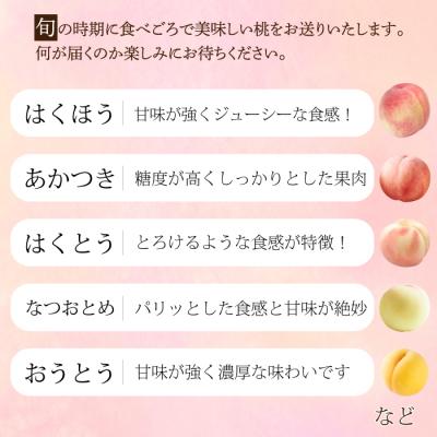 ふるさと納税 三原市 【先行受付】つくださんの桃 6個 約1kg [210-001]の画像