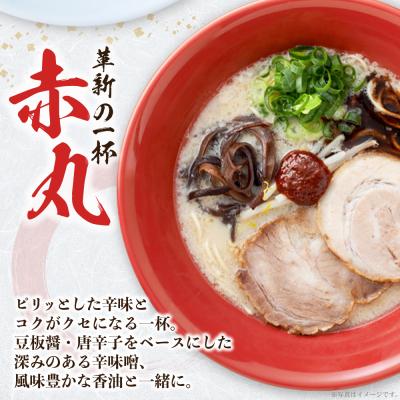 ふるさと納税 福智町 一風堂 とんこつラーメン 白丸・赤丸(各2食入)2袋 |  | 03