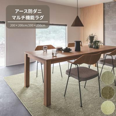 ふるさと納税 八尾市 (グレー・200×200cm) 防虫・防ダニ・防カビ・抗菌のマルチ機能無地ラグ(H146)