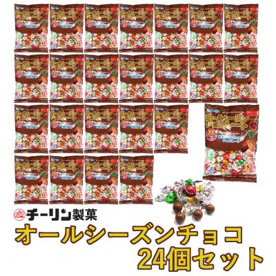 ふるさと納税 八尾市 80gオールシーズンチョコ1ケース(24袋入)(D193)