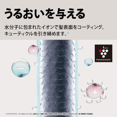ふるさと納税 八尾市 SHARP プラズマクラスタードライヤー IB-P802-B