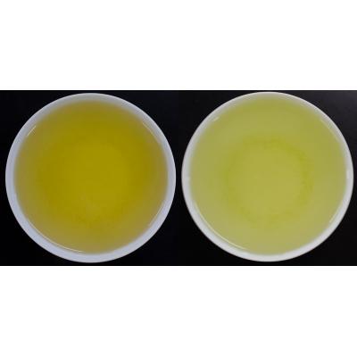 ふるさと納税 焼津市 BOUTEA BLACK&amp;WHITE 2セット(a10-452)