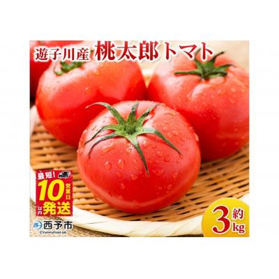 ふるさと納税 西予市 <標高600mの高地で栽培の遊子川産 桃太郎トマト 約3kg> 国産 とまと 野菜 3キ