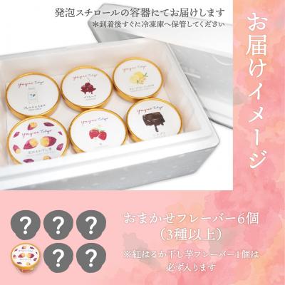ふるさと納税 境町 YAYOI TOKYO 監修 ジェラート 3種以上おまかせ6個