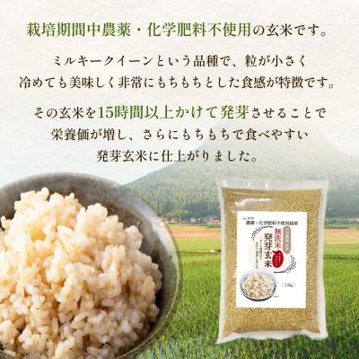 ふるさと納税 玖珠町 栽培期間中農薬・化学肥料不使用 発芽玄米 1.5kg×6袋(9.0kg) 大分県産_2