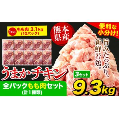 ふるさと納税 氷川町 うまかチキン 全パックもも肉セット 合計9.3kg[7-14日以内に出荷予定(土日祝除く)]