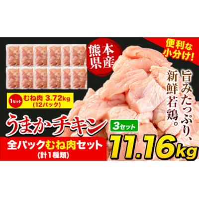 ふるさと納税 氷川町 うまかチキン 全パックむね肉セット 合計11.16kg[7-14日以内に出荷予定(土日祝除く)]