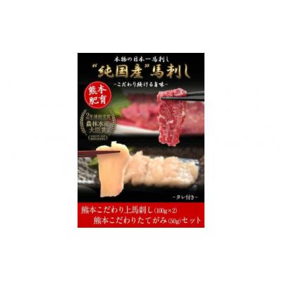 ふるさと納税 氷川町 馬刺し上赤身 ブロック熊本肥育 生食用 たれ付き(100g×2)+たてがみ(50g×1)