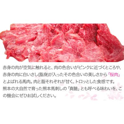 ふるさと納税 氷川町 馬刺し 上赤身 ブロック 熊本肥育 たれ付き100g×3《3-7日以内に出荷予定(土日祝除く)》 |  | 03