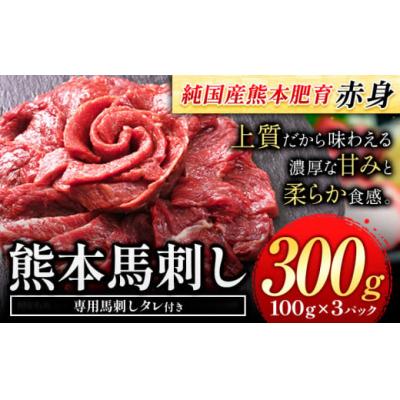ふるさと納税 氷川町 赤身馬刺し300g[純国産熊本肥育] たっぷり300g 約100g×3ブロック(タレ5ml×3袋)