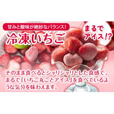ふるさと納税 氷川町 冷凍いちご 約1kg みやざき農園
