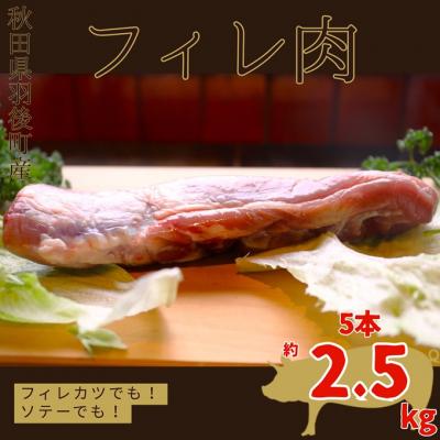 ふるさと納税 羽後町 羽後町産豚肉 フィレ肉 5本 2.5kg前後