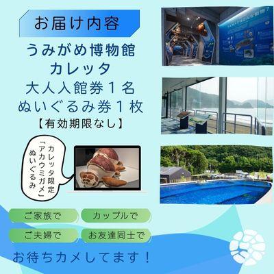 ふるさと納税 美波町 日和佐うみがめ博物館カレッタ　【入館券大人1名と限定スピードくじ1回】 |  | 01