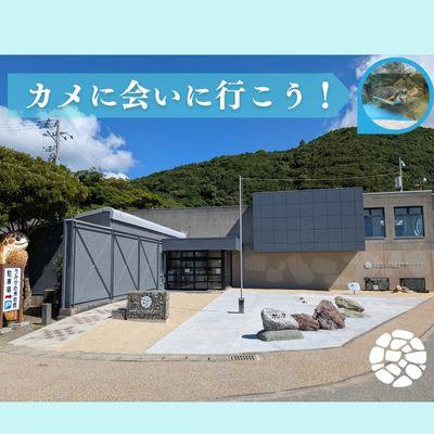ふるさと納税 美波町 日和佐うみがめ博物館カレッタ　【入館券大人1名と限定スピードくじ1回】 |  | 02