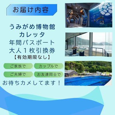 ふるさと納税 美波町 日和佐うみがめ博物館カレッタ　入館年間パス【大人1名分】 |  | 01