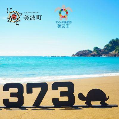 ふるさと納税 美波町 日和佐うみがめ博物館カレッタ　入館年間パス【大人1名分】 |  | 03